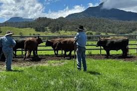 FROM PASTURE TO PLATE: QUALITY YOU CAN TRUST